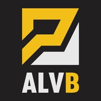 A.L.V.B.  SRL
